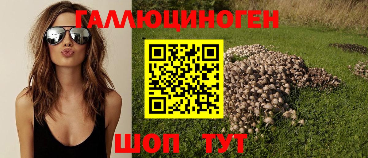 Галлюциногенные грибы ЛСД  Галлюциногенные грибы Psilocybine cubensis  сколько стоит  Гурьевск  Вход с VPN 